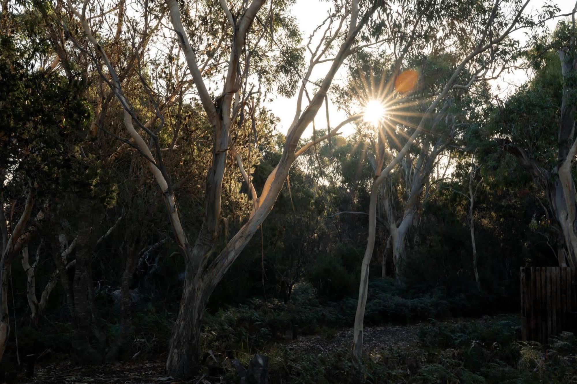 Numie - Freycinet Peninsula - Glamping - Heated - Waterfront Coles Bay Exterior foto