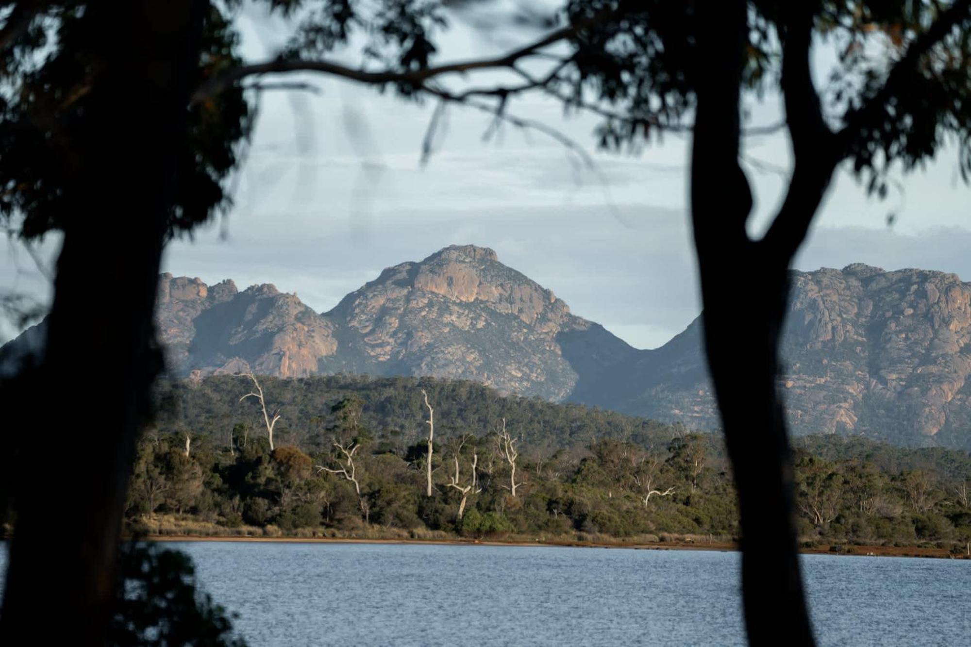 Numie - Freycinet Peninsula - Glamping - Heated - Waterfront Coles Bay Exterior foto