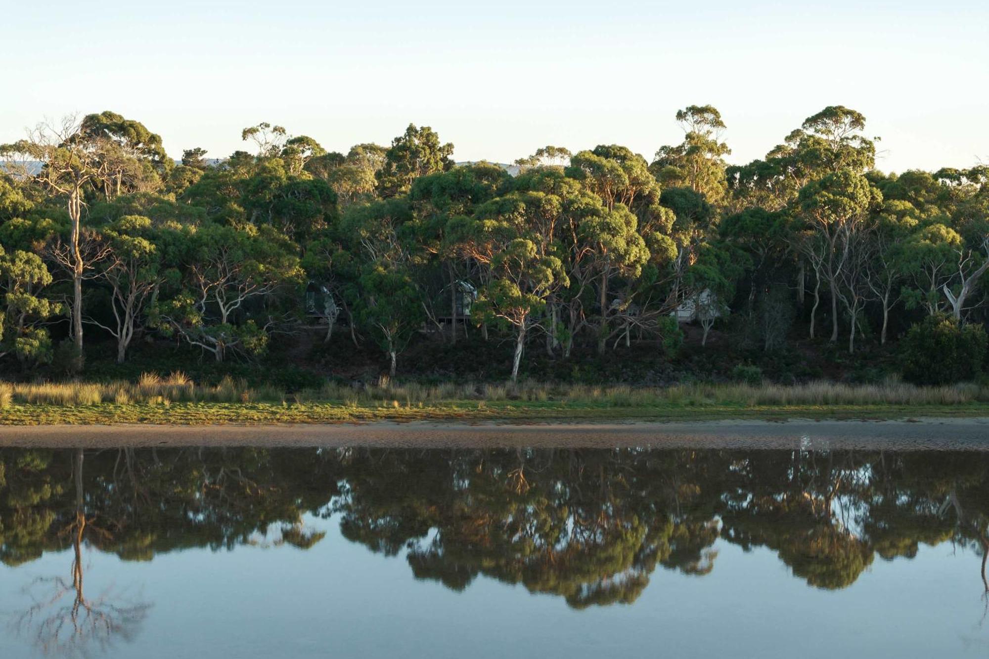 Numie - Freycinet Peninsula - Glamping - Heated - Waterfront Coles Bay Exterior foto