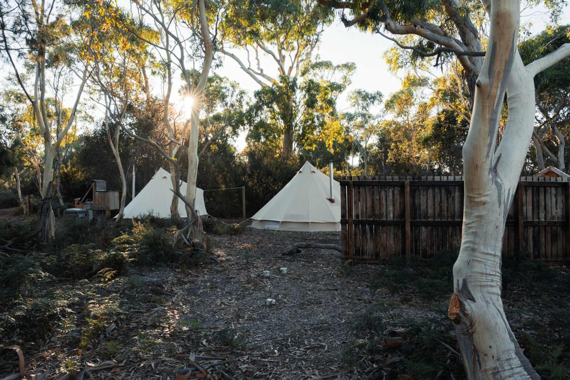 Numie - Freycinet Peninsula - Glamping - Heated - Waterfront Coles Bay Exterior foto