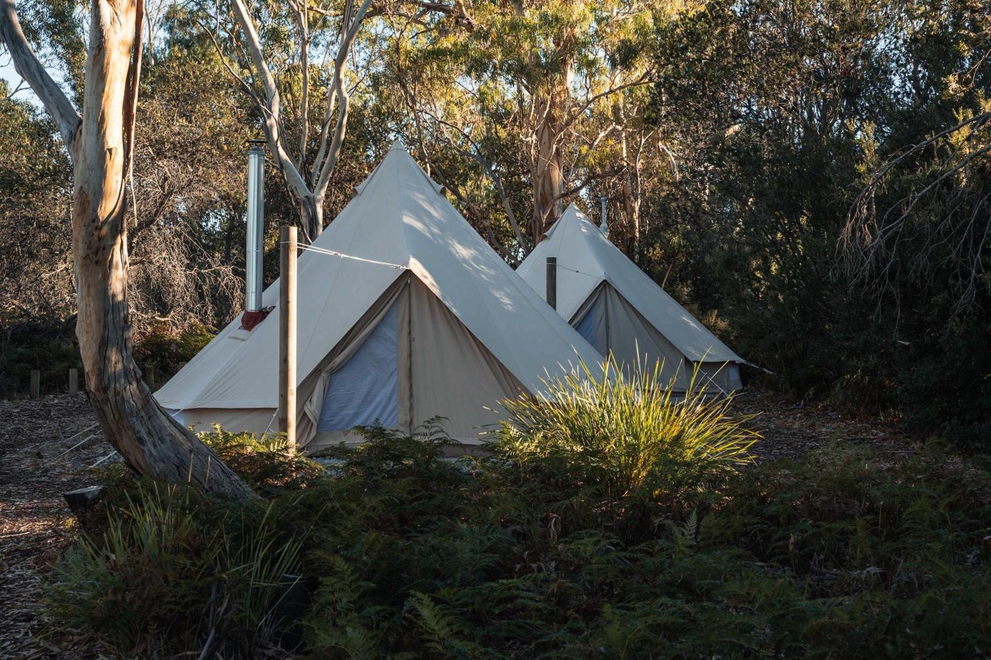 Numie - Freycinet Peninsula - Glamping - Heated - Waterfront Coles Bay Exterior foto