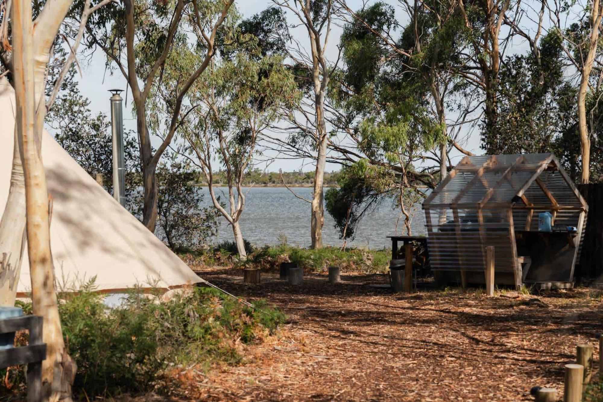 Numie - Freycinet Peninsula - Glamping - Heated - Waterfront Coles Bay Exterior foto