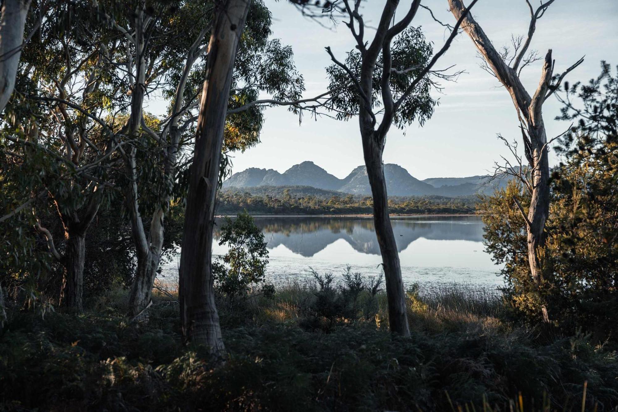 Numie - Freycinet Peninsula - Glamping - Heated - Waterfront Coles Bay Exterior foto